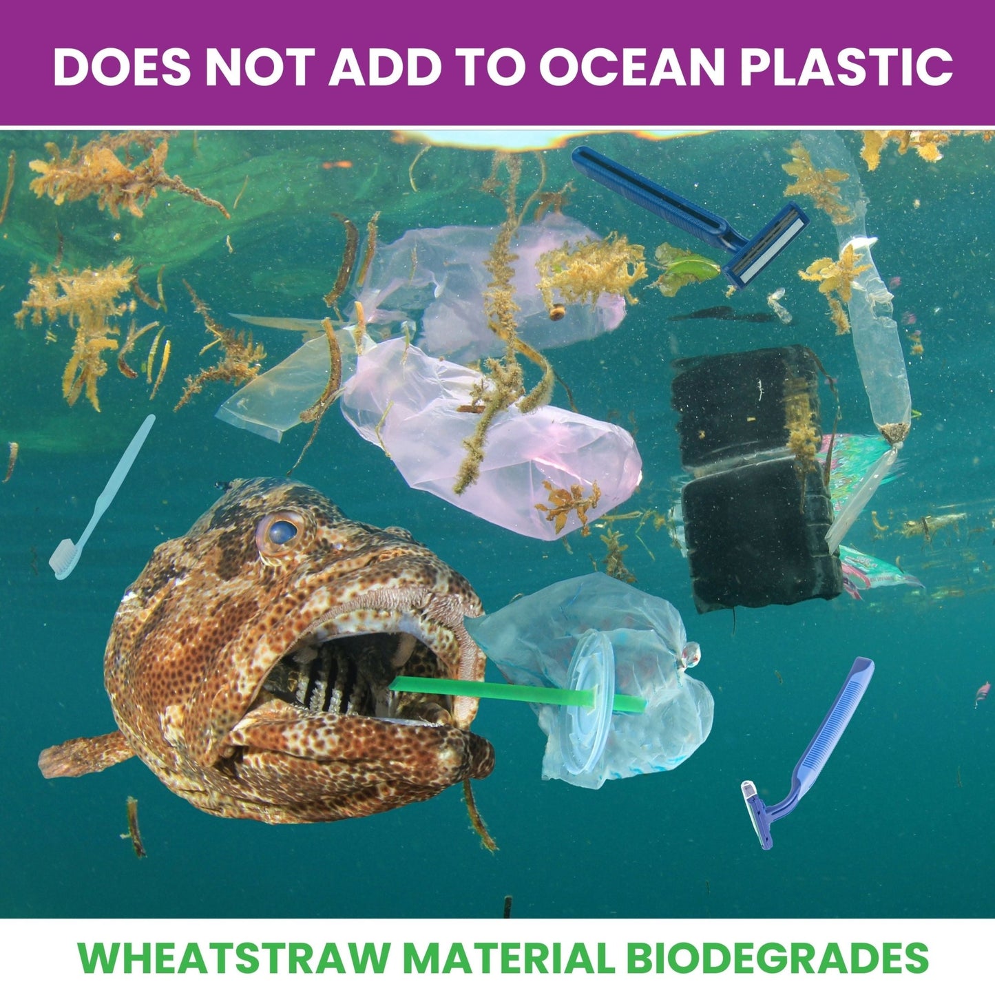 6 - Pack Eco - Friendly Wheatstraw Razors - Sustainable Shaving for Men & Women + Strip - Purple Mallet